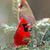 Kathy Quist's profile image