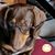 Cynthia Lavrenz's profile image