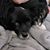 Mary Olson-sinz's profile image