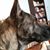 Randy Weaver's profile image