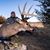James Blankenbeckler's profile image