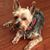 Mary Ann Martel's profile image