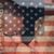 Sandy Weems Jones's profile image