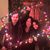Mary Beth Lombardi's profile image