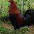 Roger Stowers Sr.'s profile image