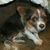 Gaye Fangel's profile image