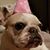Amy Trawick's profile image