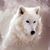 Cindy Phillips's profile image