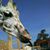 Kelly Jo Vanzandt's profile image
