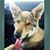 Misty Dawn Christian's profile image