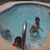 Teresa Rodrigue's profile image