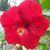 Beatriz Garcia's profile image