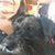 Georgeana L Thornton's profile image