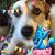 Jody Allgeier Akers's profile image