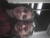 Mariah/Nicole D.'s profile image