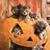 Debbie Farnesi Paquin's profile image