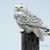 Shelley Seidman's profile image