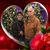 Sandy Drader's profile image