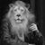 Franklyn Oyler's profile image
