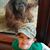 Andrea Foster's profile image