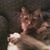 Emma Kinkle's profile image