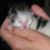 Margaret Nebb's profile image