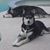 Kim Schoenradt's profile image