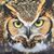 Lori Modine Edwards's profile image