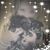 Shelly Bean's profile image