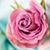 Brenda Calleja Ola's profile image