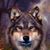 Debbie Jones's profile image