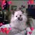 Wanda Jack's profile image