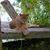 Cory LeVeille's profile image