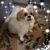 Judy Jones's profile image