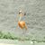 Karen Schauer's profile image