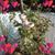 Holly Pawlusiak's profile image