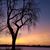Mary Ann Daley's profile image