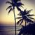 Stacey Elrod Beagel's profile image