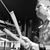 Rick Reeves's profile image