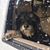 Sally Waldrup Boyd's profile image