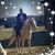 Tonya D. Bice's profile image