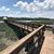 Patricia Ann Russell's profile image