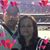 Karen S. Hall's profile image