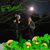 Cindy Barke's profile image