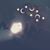 Sky Marie Adcock's profile image