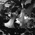 Susan Olander's profile image