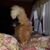 Amy Hooper Thomas's profile image
