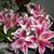 Debby Knutson's profile image