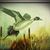 Cris Celznik's profile image