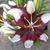 Mandy Huston's profile image